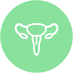 Ginekologia Położnictwo