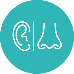 Ginekologia Położnictwo