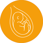 badaniaPrenatalne Ginekologia Położnictwo