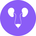 urologia Ginekologia Położnictwo